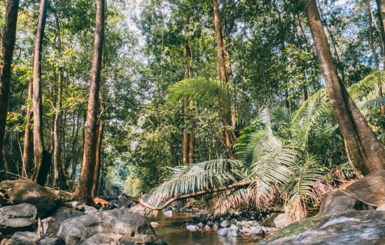Blog image